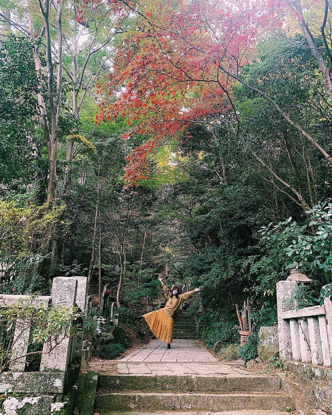 井上志帆子さんのインスタグラム写真 - (井上志帆子Instagram)「紅葉ちょっと遅かった〜〜 中々散ってました🍁 #紅葉みにいこうようの人と繋がりたい #紅葉#一体化」11月28日 0時35分 - shiriko0316