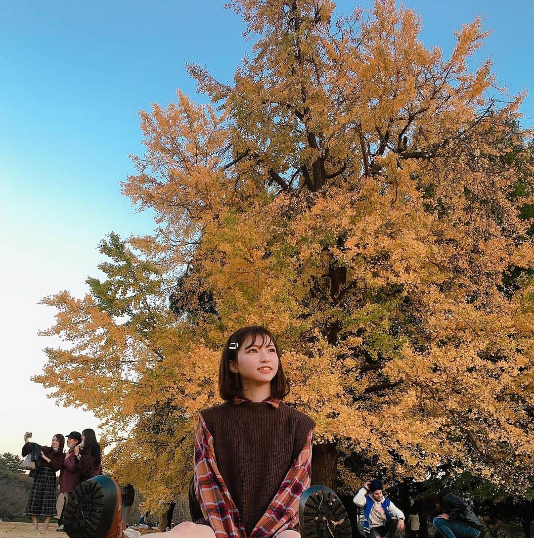横道侑里のインスタグラム：「紅葉狩り」