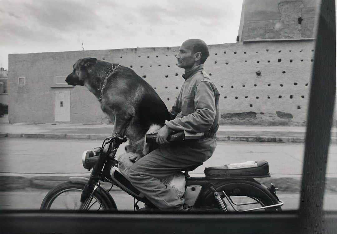 Stephan Wurthのインスタグラム：「Man and dog on Moped, Marrakech 2010.  11”x14” Gelatin silver print signed verso.  Edition of 15. $1,000.」