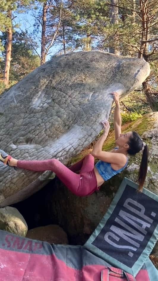 キャロライン・シノのインスタグラム：「Une jolie proue ouverte par Schnaps au Rocher brûlé🙌🏼🌟 ~ 6B bleausard  #lotsofhairdab  @crimpoilofficial #climbmassage #recoverfaster」