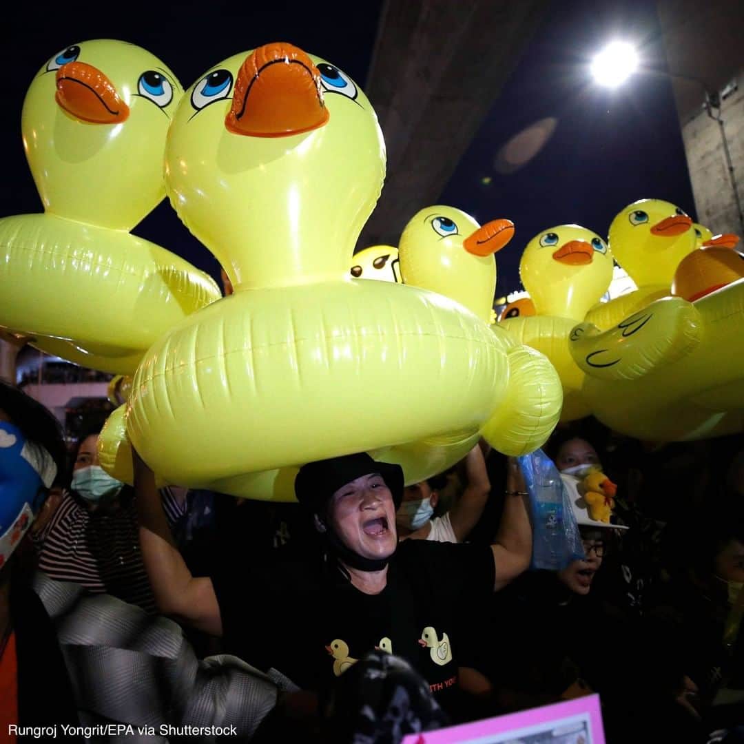 ABC Newsさんのインスタグラム写真 - (ABC NewsInstagram)「Anti-government protesters marched with inflatable rubber ducks during a demonstration calling for political and monarchy reform in Bangkok, Thailand.」11月28日 3時10分 - abcnews