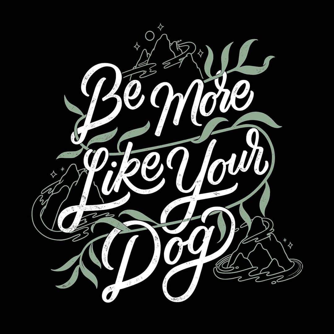 Andrew Knappのインスタグラム：「Shirt alert! I really wanted to make a shirt to spread the good word about being more like your dog. What’s even better is I also asked @megamcgrathh to create a design, and what she crafted is stunning. Mega is one of my favourite calligraphy artists, so it was an honour to see her interpretation of the message. Two styles available in two colours. Swipe to the last image to see the shirt with Momo on it.  So far we’ve been able to raise almost $10k for dog and human related charities through @bemorelikeyourdog product, all thanks to your support. It’s also been a creative outlet for myself, and for that I’m eternally grateful.  Link in my profile!」