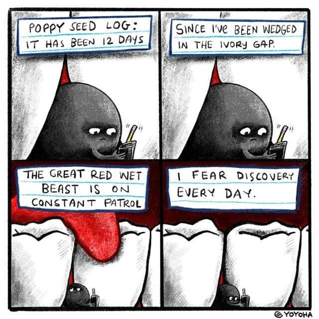 9GAGさんのインスタグラム写真 - (9GAGInstagram)「Happy National Flossing Day By yoyoha  - #teeth #9gag #comics」11月28日 4時01分 - 9gag