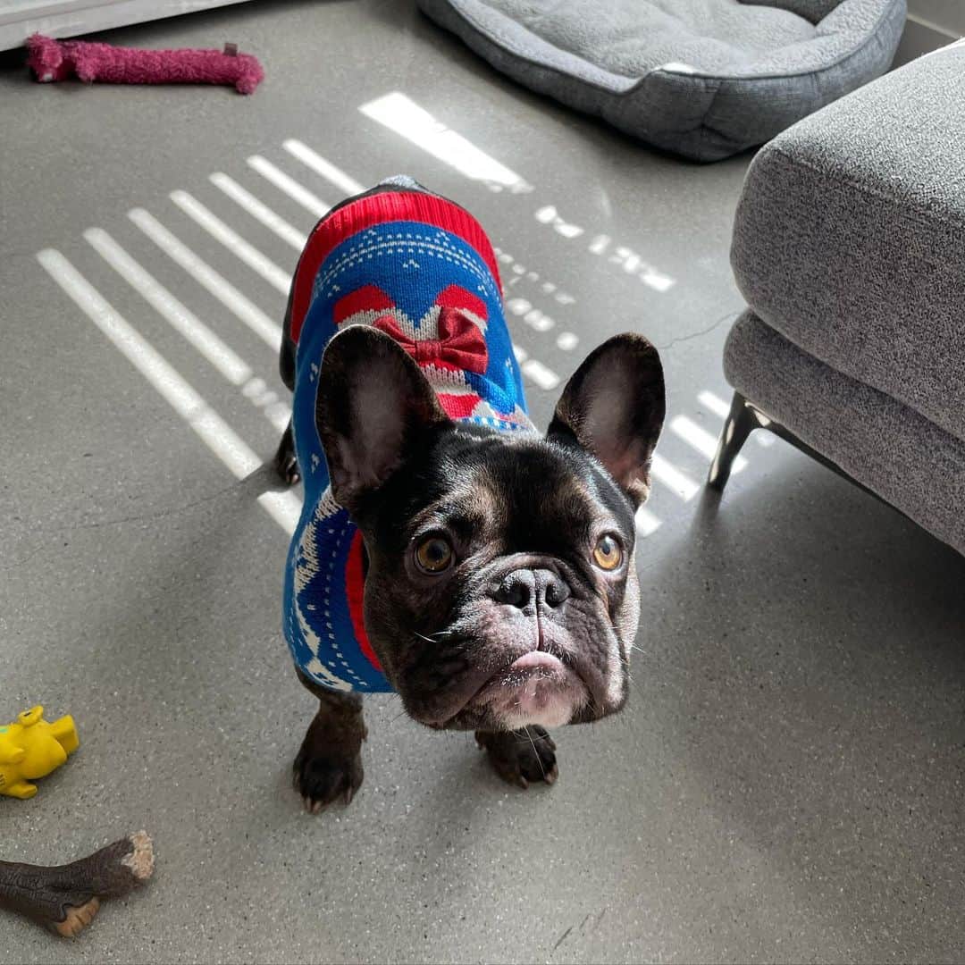 テイラー・ジェームスのインスタグラム：「Your mad cause my style your admiring!  @frankwhitethefrench ❤️」