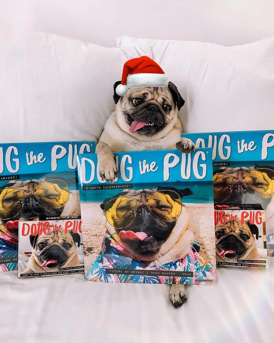 itsdougthepugさんのインスタグラム写真 - (itsdougthepugInstagram)「“Tag someone who needs to get u these” -Doug • So many deals on Doug products today! The 2021 Calendars are 33% off, my new plushies are on sale @clairesstores, my entire merch store is 20% off, and more! Link in bio! 🛍」11月28日 4時22分 - itsdougthepug