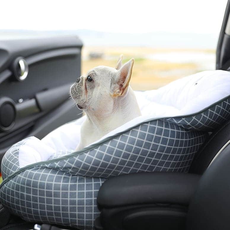 French Bulldogさんのインスタグラム写真 - (French BulldogInstagram)「Plan to travel? Cozy French Bulldog Safety Car Seat 💺🚗🧳 🖤 Discount code at checkout: BLACKFRIDAY 🖤 Exclusive in @frenchie.world shop 🛍🛍🛍 👉 LINK IN BIO 🔝 . . . . . #frenchie #frenchies #französischebulldogge #frenchbulldog #frenchbulldogs #dog #dogsofinstagram #frenchieworld #bully #bulldog #bulldogfrances #フレンチブルドッグ #フレンチブルドッグ #フレブル #ワンコ #frenchiesgram #frenchbulldogsofinstagram #ilovemyfrenchie #batpig #buhi #squishyfacecrewbulldog」11月28日 4時24分 - frenchie.world