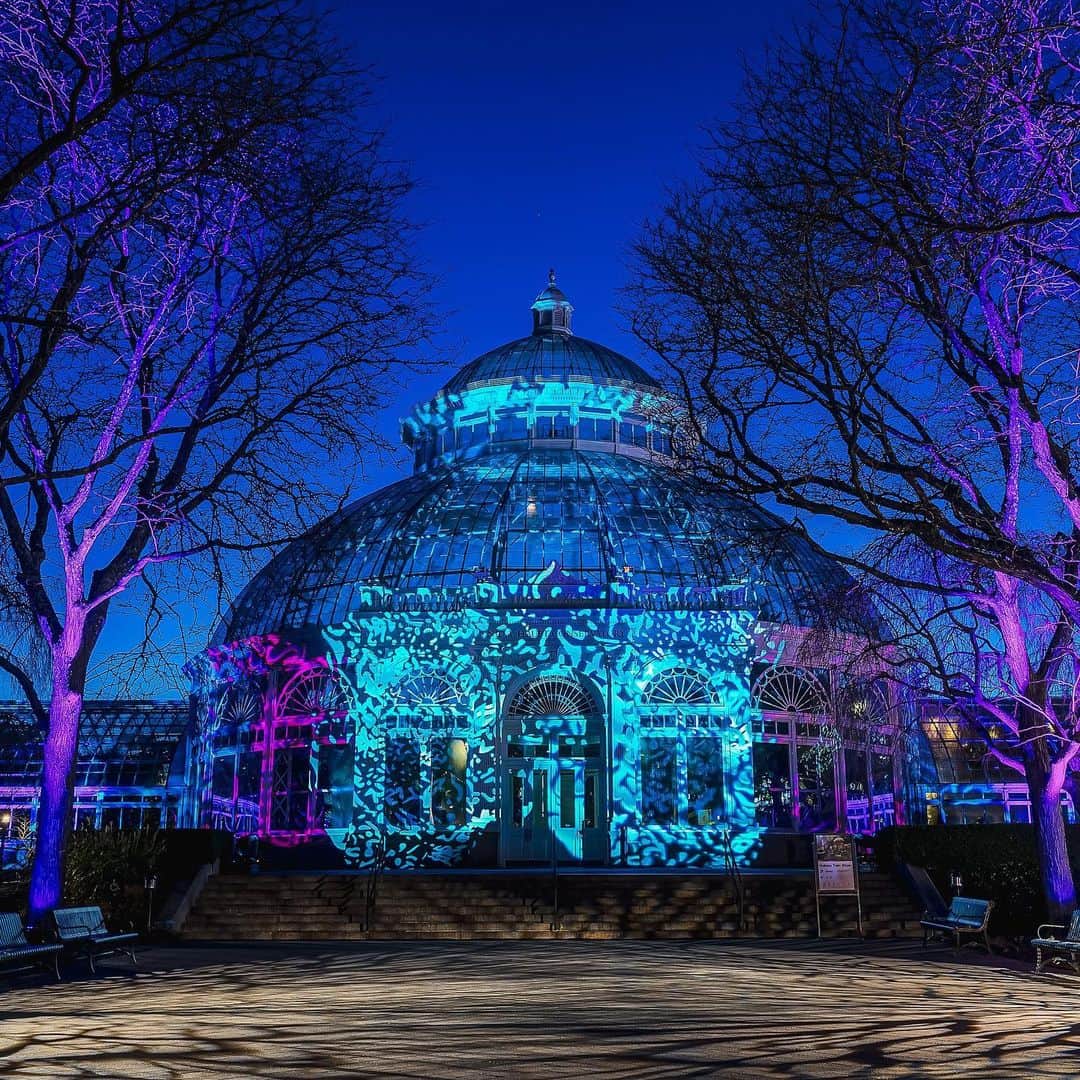 ニューヨーク植物園のインスタグラム：「NYBG GLOW is on at the Garden! 🌟 . Our evenings of brilliant color and light splashed across NYBG's landmark landscape and illuminating the Haupt Conservatory kick off tonight, and while this weekend's dates are already sold out, there are more opportunities to see it for yourself throughout December and into January. Hit the link in our bio to learn more about these outdoor, after-dark events that bring, music, dance, and outdoor fun to the Garden this holiday season—and get your tickets while they last. . #NYBGglow #AllInNYC」