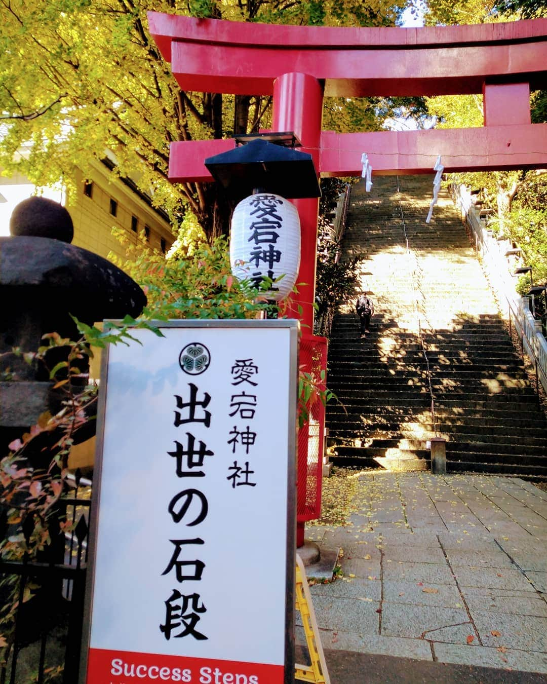 悠木あやねさんのインスタグラム写真 - (悠木あやねInstagram)「今日は風が強かったなぁ〜髪の毛ぐしゃぐしゃボッサボサになった🤣  RUNとは別で15km歩いてきた〜🏃  愛宕神社の男坂は一段の幅も大きいし、落ち葉で足元が不安定なので、普通に登るだけでイイ運動になる💪※ここでのトレーニングは禁止です⚠️  #愛宕神社 #出世の石段  #successsteps #マラソン #running #joggingtime  #walking  #お散歩大好き  #お散歩  #出世したいなぁ〜 ←(笑) #いちょう #悠木あやね #AyaneYuki #YukiAyane #カプセルエージェンシー #capsuleagency #AV女優 #セクシー女優 #アダルト女優 #女優 #モデル #asiangirls #asiandoll #asianbeauty #asiansexy #japanese #japanesegirl #japanesegirls #model #nudemodel」11月28日 15時40分 - yukiayane0926