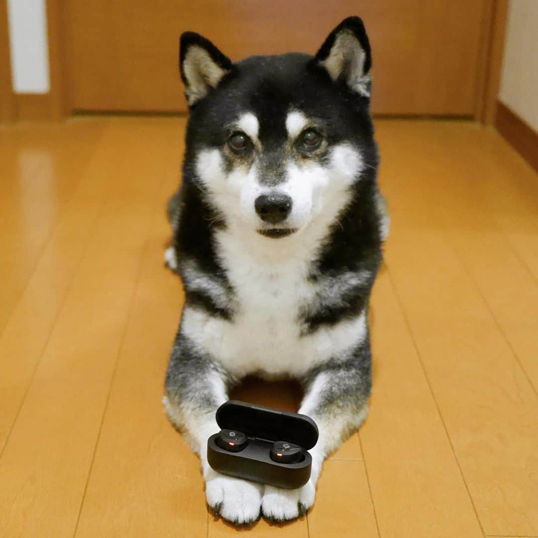くろのインスタグラム