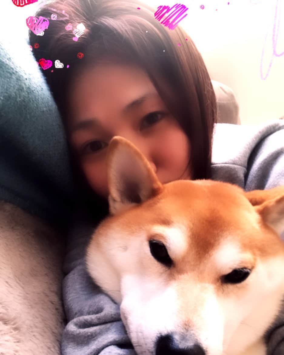 高橋みゆきのインスタグラム：「クラ吉とまったりお昼寝🐶💓 #クラ吉 #病み上がり #心配 #皆元気が1番 #親知らず🦷抜いてきたよ #麻酔きれてきたよ」