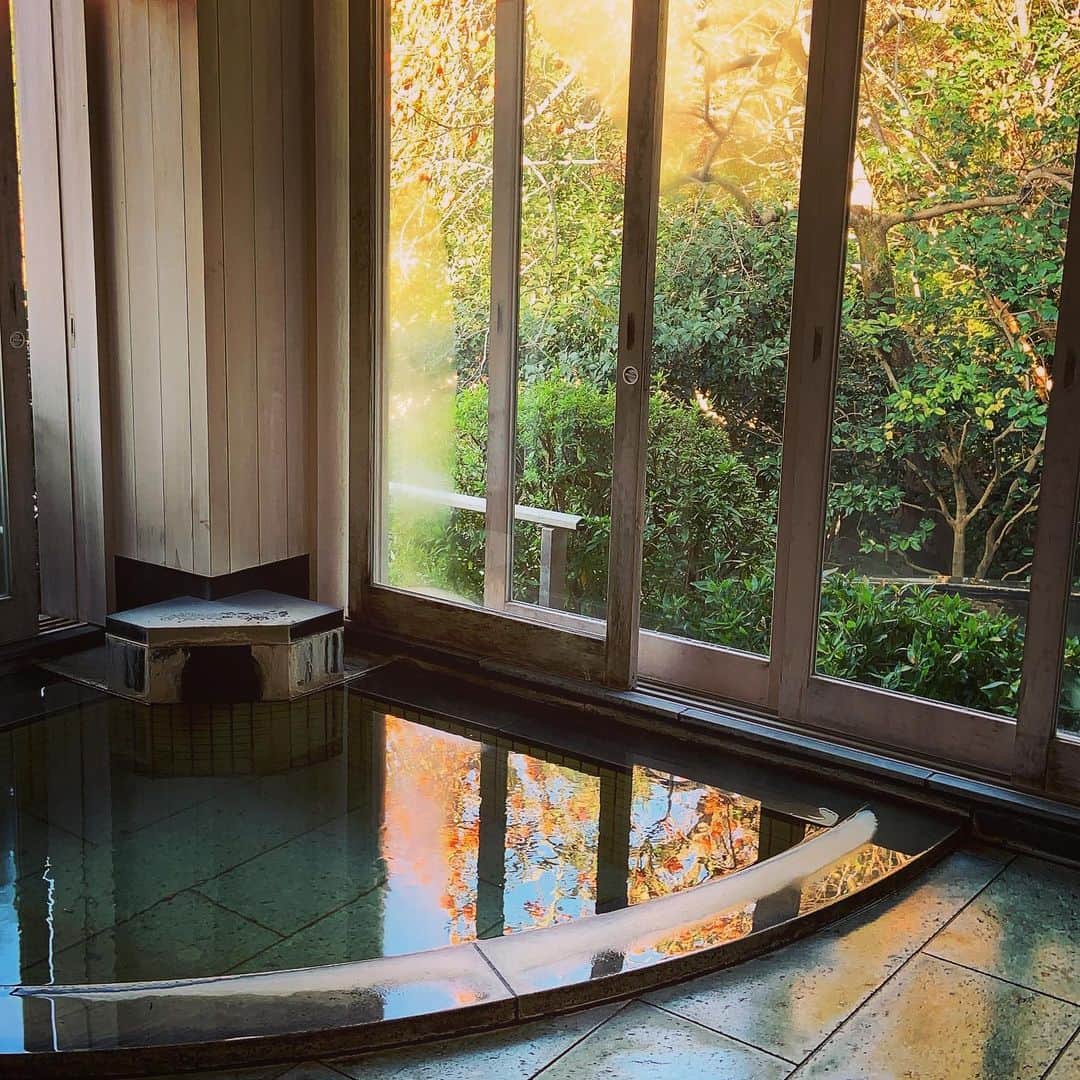 志摩有子さんのインスタグラム写真 - (志摩有子Instagram)「車で1時間半で非日常へ。どこもかしこも清潔で心地よい。柔らかなお湯に素晴らしい朝食。一晩ですっかり元気に。  #湯河原　#温泉　#定宿 #大人のままごと」11月28日 15時13分 - ariko418