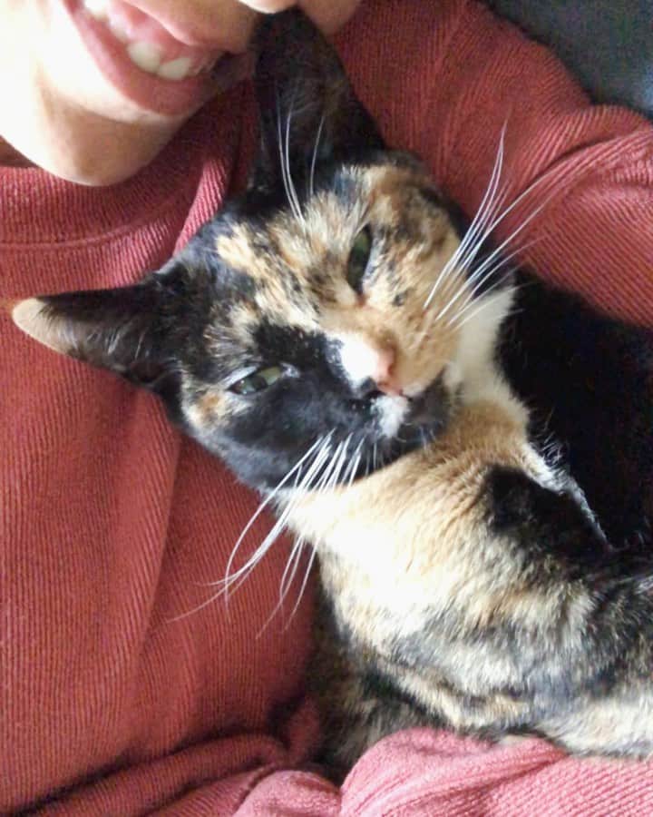 Nicole Mejiaのインスタグラム：「SEASON OF GRATITUDE: DAY 2  L U N A 🌜  I am grateful for my furry snuggle monster makes me feel loved no matter what. 😻  Two species, same primary love languages. 💞 I love you to the Luna and back!」