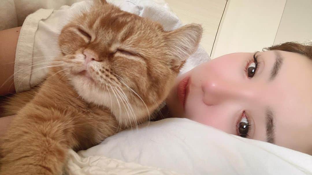 のインスタグラム：「癒し❣️」