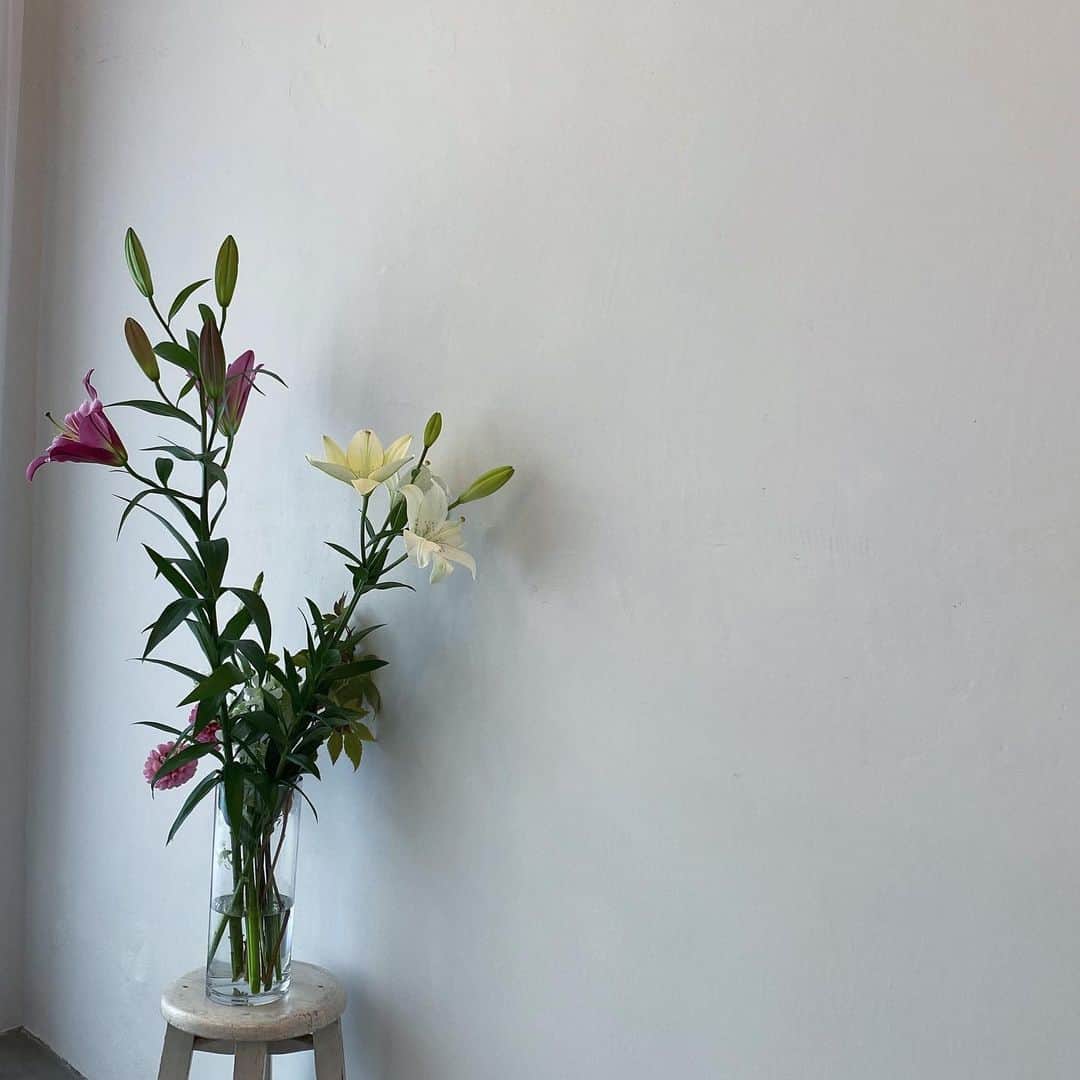 藤井美希のインスタグラム：「. こないだ撮影で使ったお花いただいた🐕」