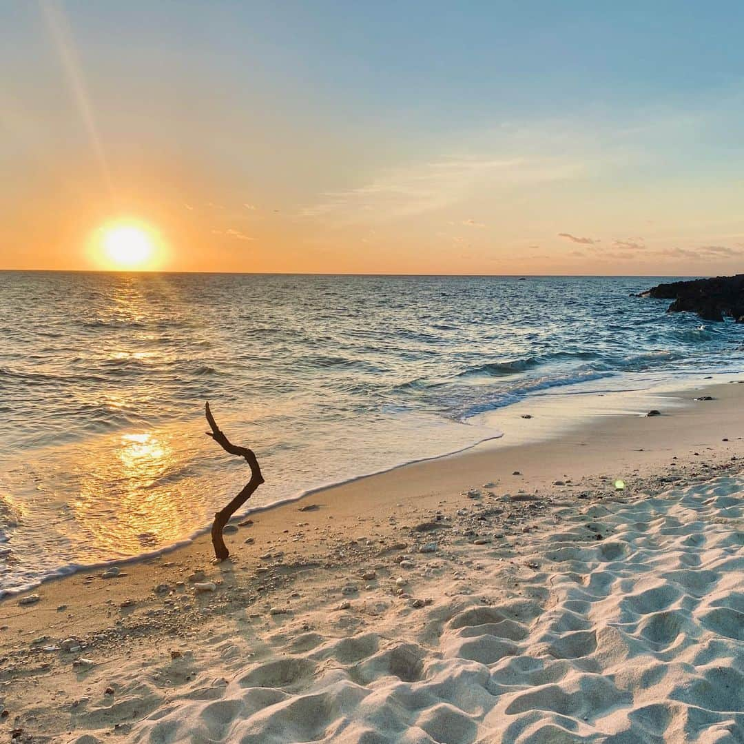 Hiroe Hiranoさんのインスタグラム写真 - (Hiroe HiranoInstagram)「離島へ🌞 お天気に恵まれ、海三昧。 ウミガメと一緒に泳げました❤️🐢  バンを借りてビーチからビーチへ。 ウェットスーツとフィンを積んで✨ 海水、砂まみれで車に乗って😂笑 誰もいないビーチを選び🏖 ペットボトルで即席シャワー🚿なワイルドツアー😂 楽しすぎる💓  肌は #セラプル でキープして、モチモチ❤️ 海に優しいALL GOODの日焼け止めも✌️  ウミガメがいるといわれる海を泳ぎ美しい海に 魅了されあっという間に3時間。 諦めようかと思ったその時に、、❣️ かなり近く目の前に現れてくれました❤️  テンションあがり動画のように わたし、ずっと追いかけてました☺️  昨日は船に乗って、あのスポットに💎 あんなに美しい場所が日本にあったなんて。 またシェアします💓  #japan #日本　#離島　#trip #ウミガメ #turtle #宮古島」11月28日 8時16分 - hiroe_hirano