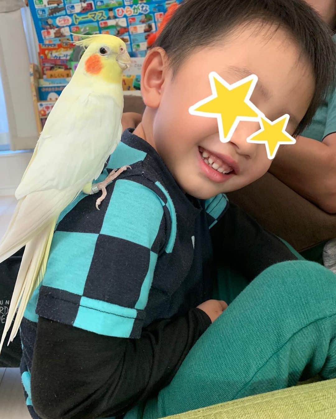 のインスタグラム：「最近はオザのケージの掃除と餌やりをよくお手伝いしてくれている息子。 少しずつオザも信頼し始めたのか、飛んで自ら息子の背中に乗るようになった✨  #オカメインコ #cockatiel #インコ #鳥 #bird #Parakeet #兵長 #オザ兵長  #育児 #子育て #4歳1ヶ月」