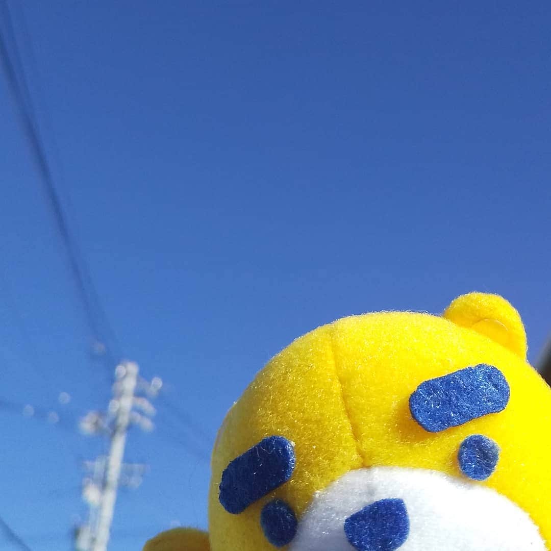 東海テレビ公式キャラクター「イッチー」さんのインスタグラム写真 - (東海テレビ公式キャラクター「イッチー」Instagram)「遠いどこかの空じゃなくても、自分の住んでる街の空も綺麗だな～と最近思う☀️みなさんは？ #イッチー#東海テレビ#名古屋#ふるさとイチバン#空#tv#nagoya#japan#sunny#sky#enjoy」11月28日 9時06分 - icchy_tokaitv