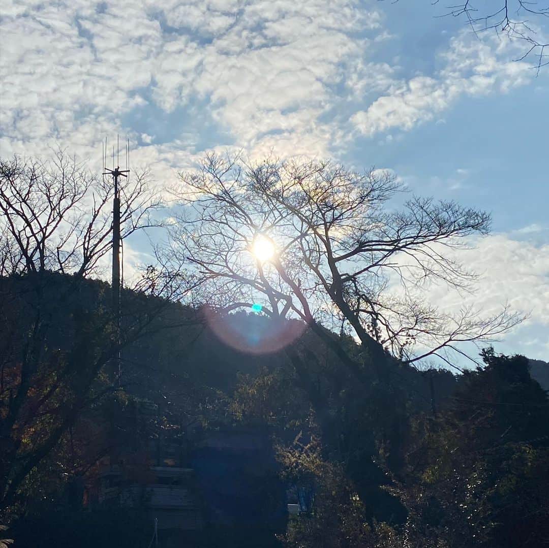 のインスタグラム：「山の家へ✨ 先週はノースリーブに裸足で高知の川で遊んでたけど、京都の山はもうすごく寒い。お庭の土調べ中😻」