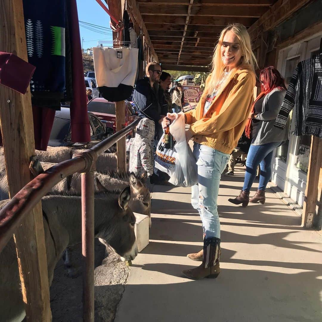 ケナ・ジェームスさんのインスタグラム写真 - (ケナ・ジェームスInstagram)「I had so much fun with the wild Burros in Oatman Arizona today!  It’s a place I’m definitely going to return to!  If you ever get the chance to visit it I highly recommend it.  Right on old Route 66.」11月28日 10時42分 - realkennajames