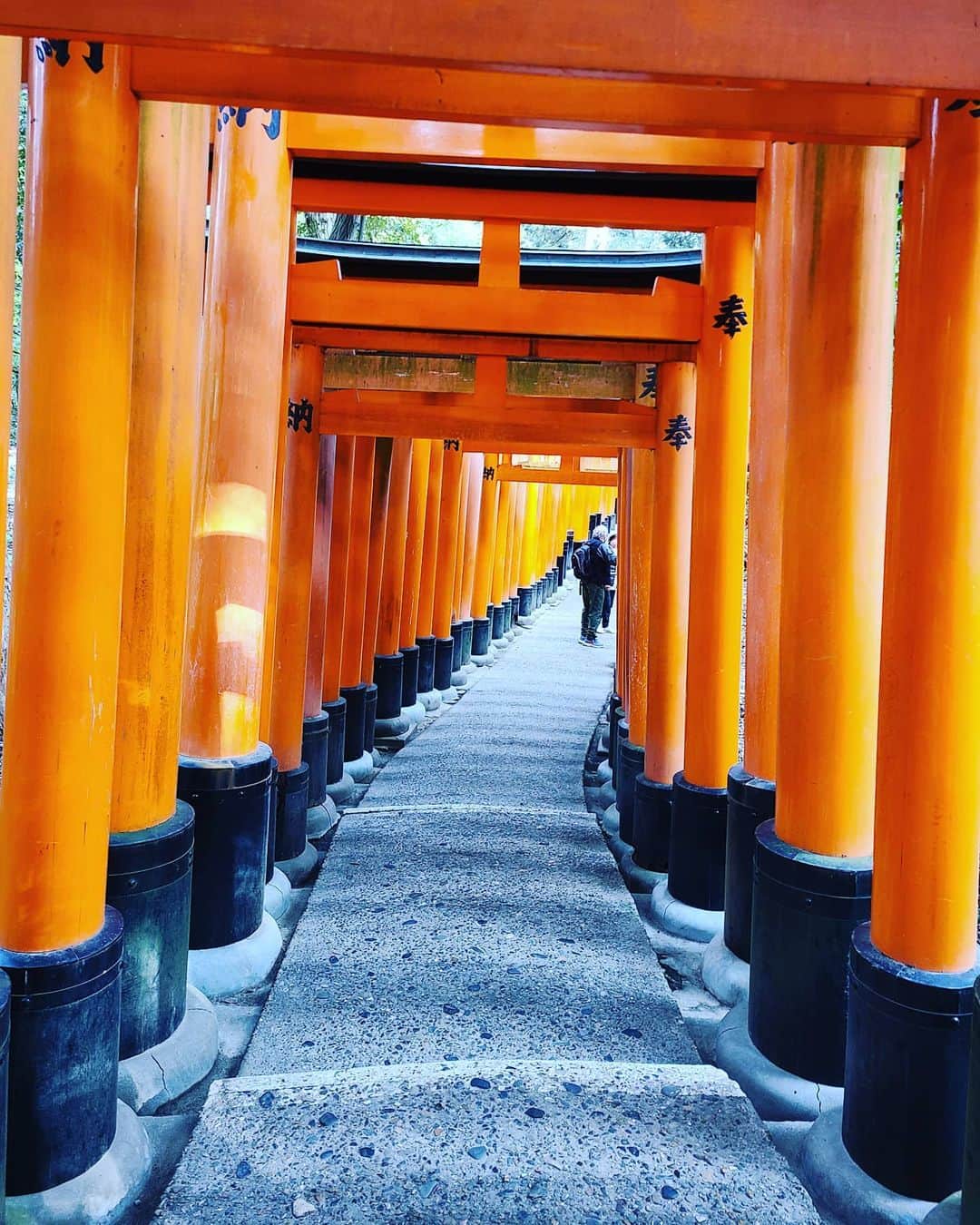 朝比奈沙樹のインスタグラム