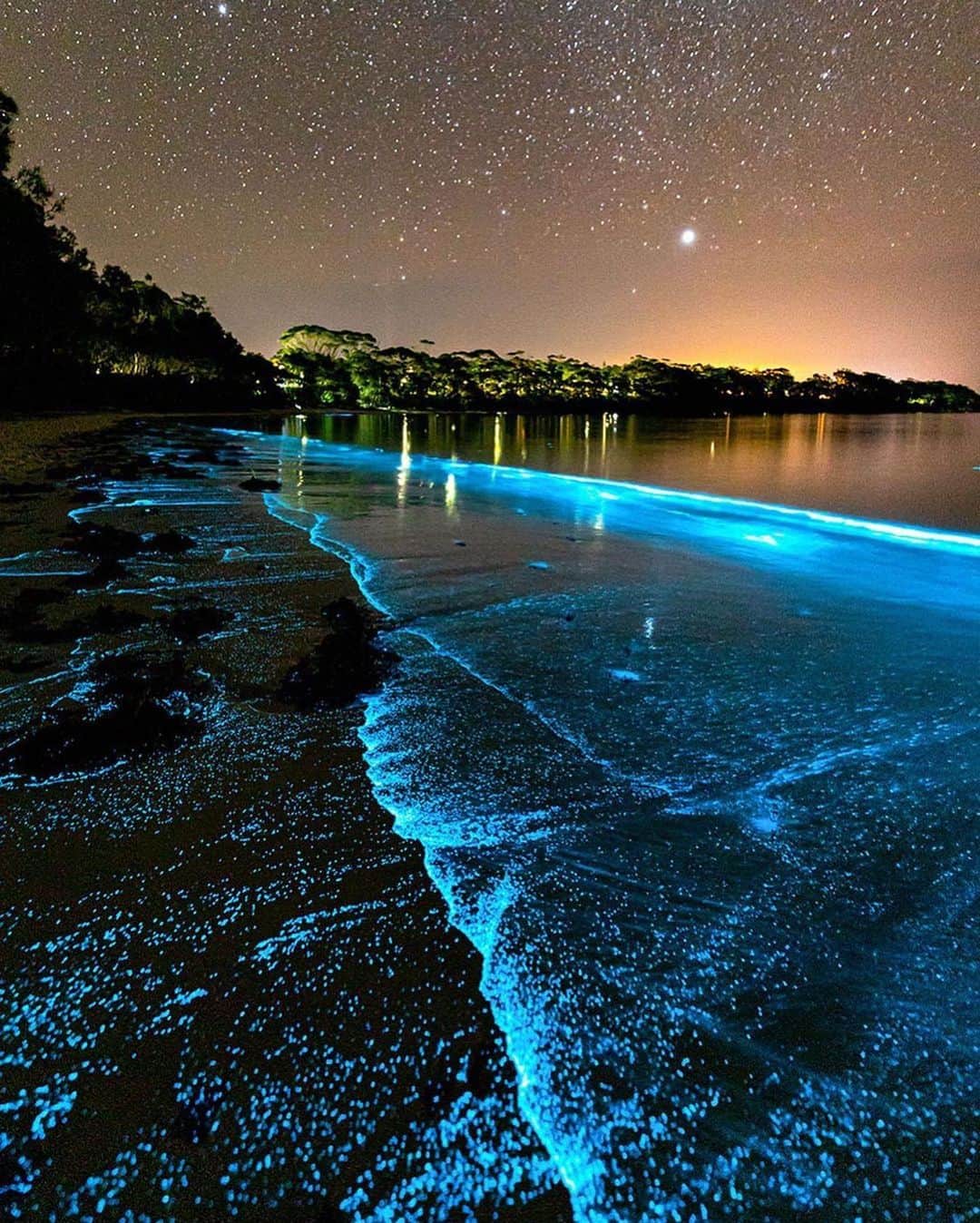 BEAUTIFUL DESTINATIONSさんのインスタグラム写真 - (BEAUTIFUL DESTINATIONSInstagram)「No special effects—just pure nature! 🤩 Have you seen this spectacle in real life? Besides white sands, clear waters, resident dolphins and visiting humpback whales, Jervis Bay has more in store: bioluminescent algae. ✨  The phenomenon is seen at night and usually during the warmer months. Would you like to witness this in person? 🙌🏼  📸 @jordan_robins 📍  Jervis Bay, Sydney, Australia」11月28日 11時03分 - beautifuldestinations