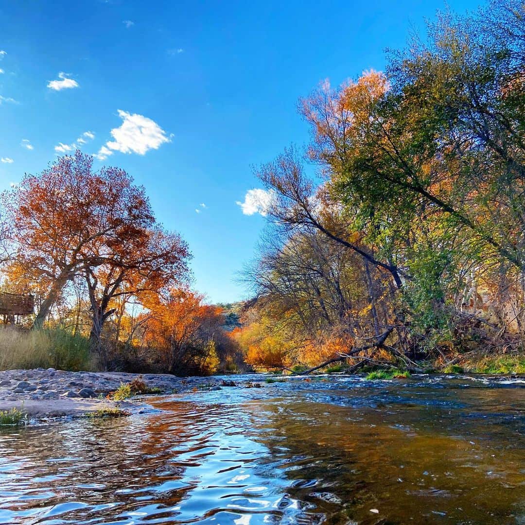 ダグラス・ラザノのインスタグラム：「Fall in Arizona 🍂🍃 #pagespringscellars #oakcreek #sedona #arizona」