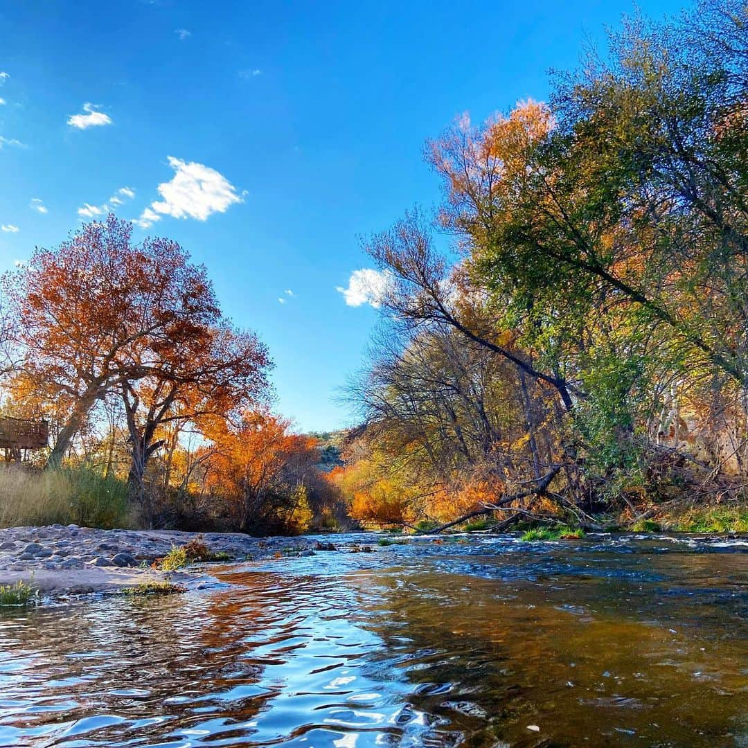 ダグラス・ラザノさんのインスタグラム写真 - (ダグラス・ラザノInstagram)「Fall in Arizona 🍂🍃 #pagespringscellars #oakcreek #sedona #arizona」11月28日 11時05分 - douglasrazzano