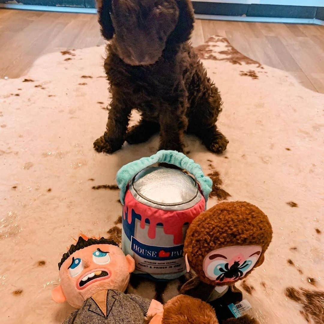 BarkBoxさんのインスタグラム写真 - (BarkBoxInstagram)「🗣️"KEVIIIIIIIIIN!"⁠⠀ Hopefully these pups aren't needing to thwart any real Wet Bandits this holiday season! Happy 30th anniversary, Home Alone!⁠⠀ ft. @cashewthegolden_⁠⠀ @cbrdesignerr⁠⠀ @thebeaglebandit⁠⠀ @nikoandbonnie⁠⠀ @riggsthelabradood⁠⠀ @teeny.weenie.tucker」11月28日 11時28分 - barkbox