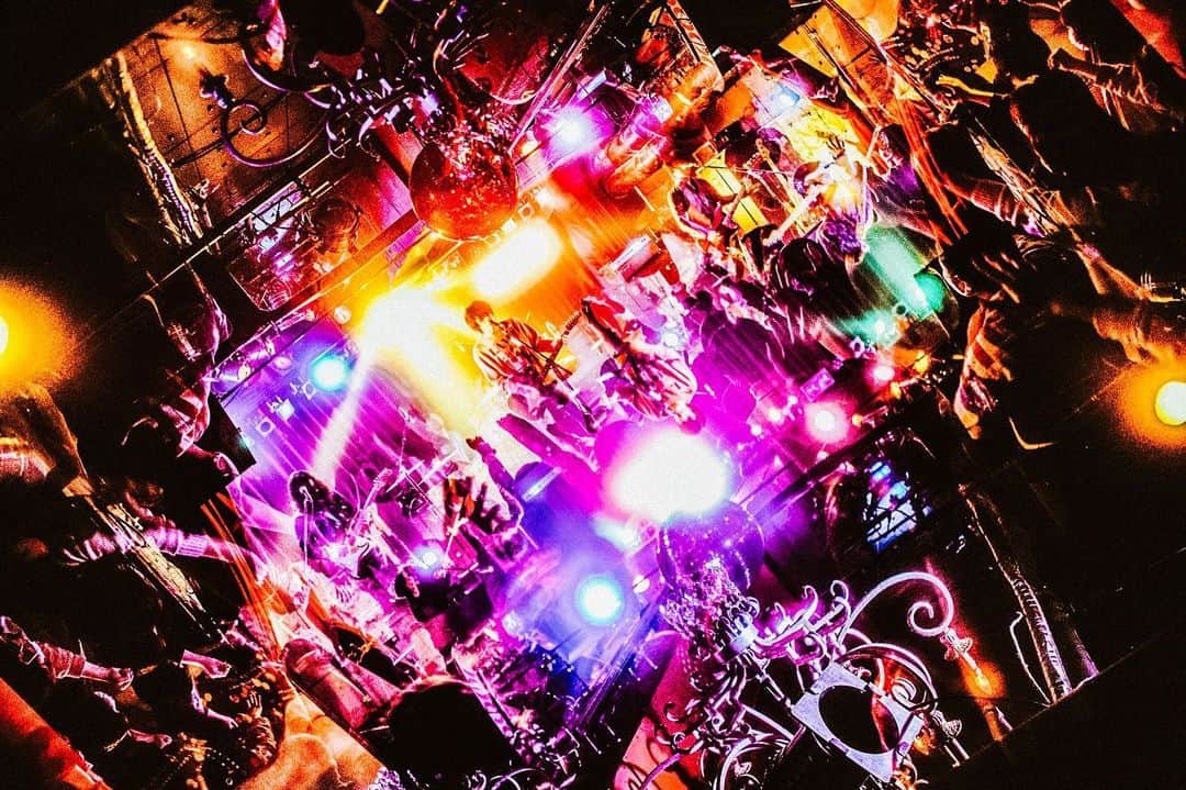 LAMP IN TERRENのインスタグラム：「2020.11.26 TOUR ”Progress Report” #13 at Shibuya Star lounge  Photo @hamanokazushi」