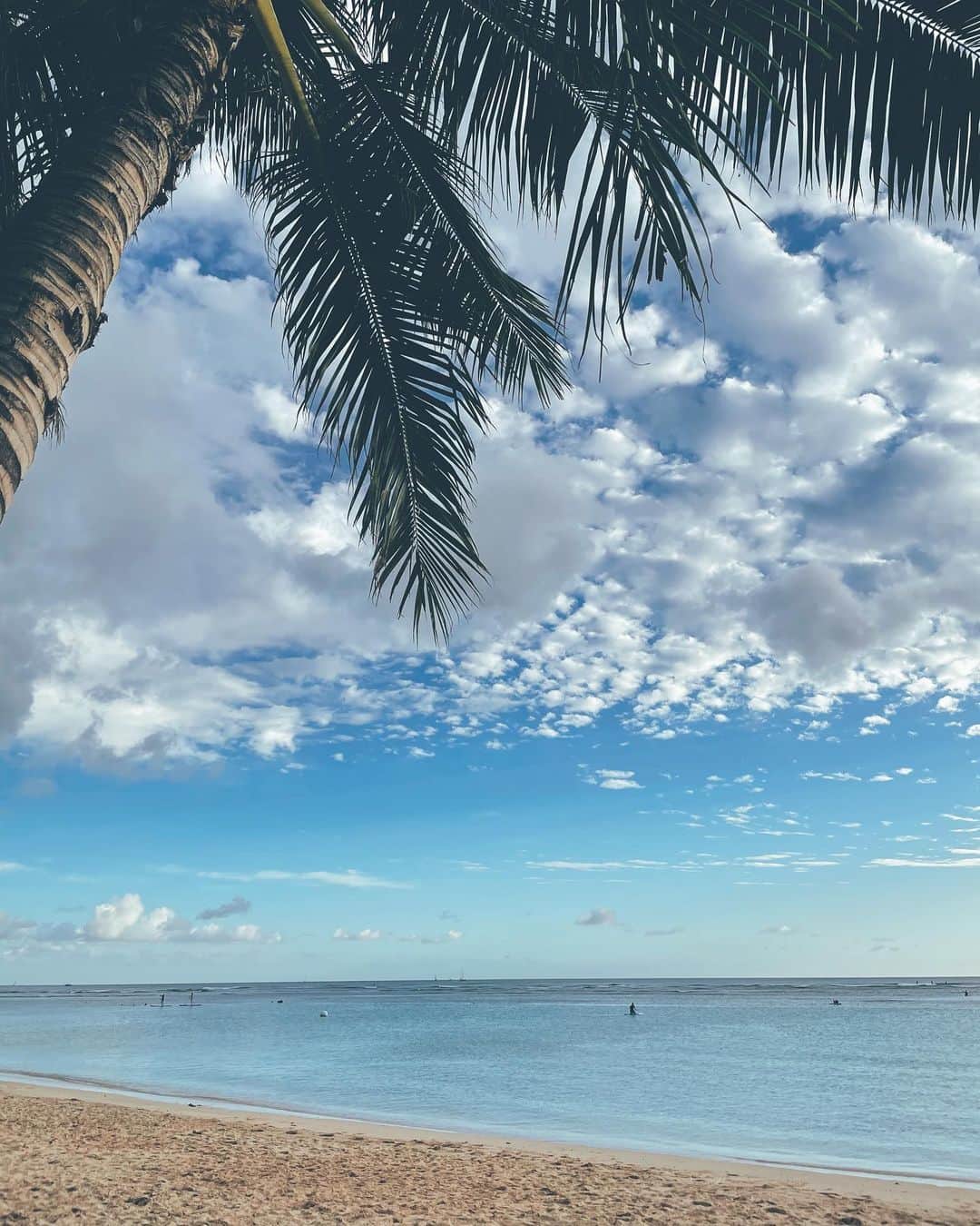 のインスタグラム：「Hawaii🌈💙」