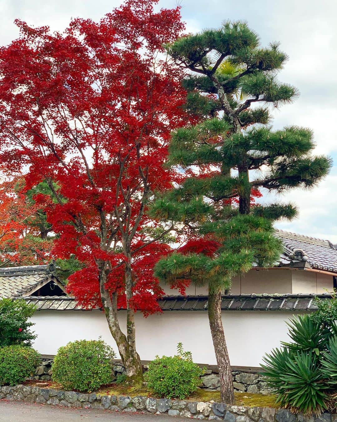 イ・ボミさんのインスタグラム写真 - (イ・ボミInstagram)「- KYOTO 🍂🍁❤️ ステキなくるまにのって　おいしいものを たくさんたべて　カッコイイHUBLOTまで あるきまわれなかったのが　ざんねんです😢 #松山閣 #bmw3 #hublot」11月28日 12時04分 - bomee.lee