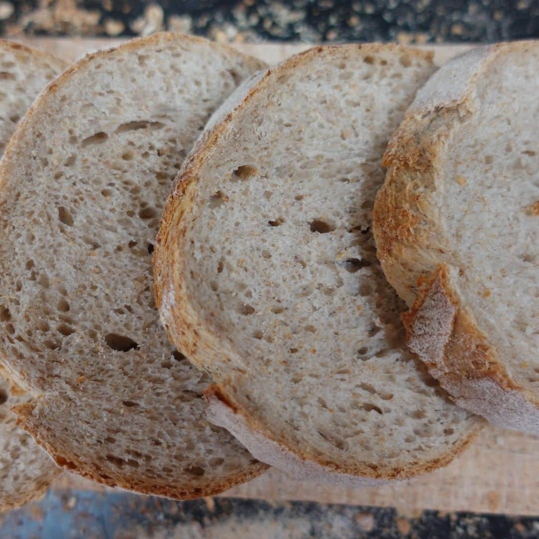 魔女菅原のグルメインスタ