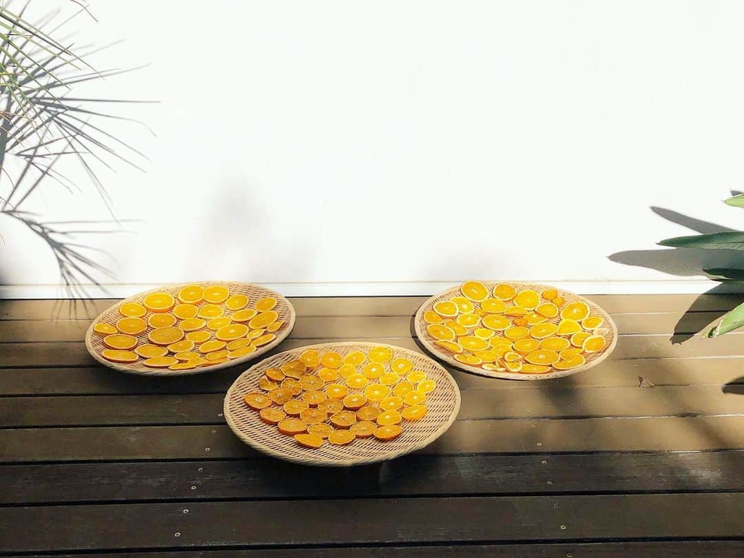 桐島かれんさんのインスタグラム写真 - (桐島かれんInstagram)「オレンジとみかんの天日干し。 ドライオレンジを作り、クリスマスのデコレーションに使うのです。  #ドライオレンジ」11月28日 12時18分 - houseoflotuskaren