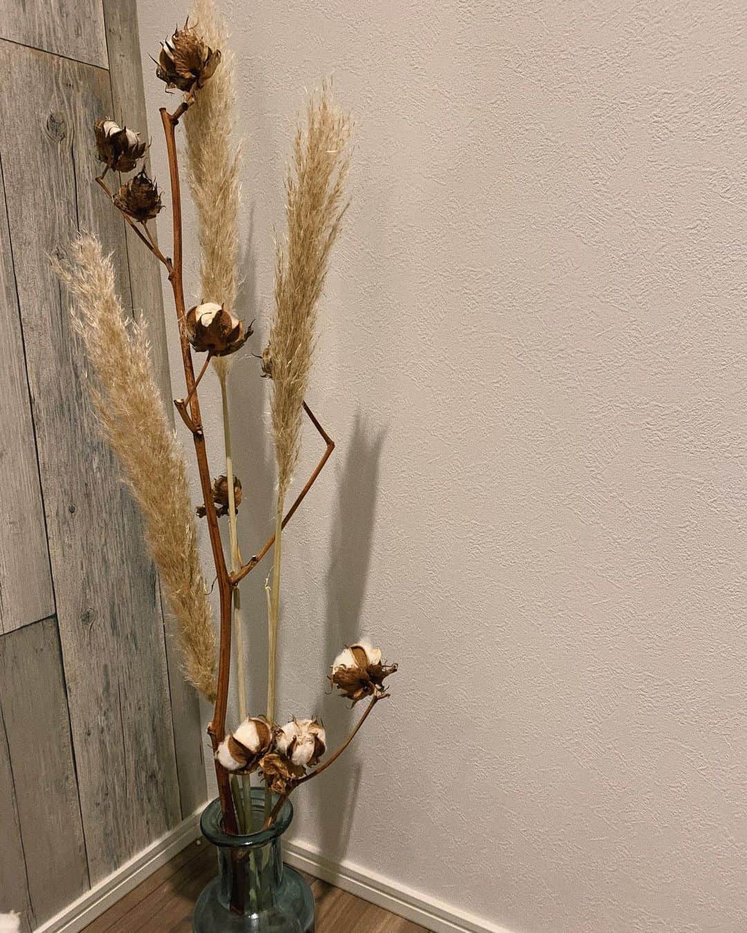 sayocoのインスタグラム：「こっくり秋かわいい🌾♥️ 枝の色に一目惚れしたコットン☁️ 家にドライフラワーばっかりだから、 たまには生花をと思ってお花屋さんへ行ったけど結局🙃 #植物のある暮らし  #コットンの木 #パンパスグラスのある暮らし」