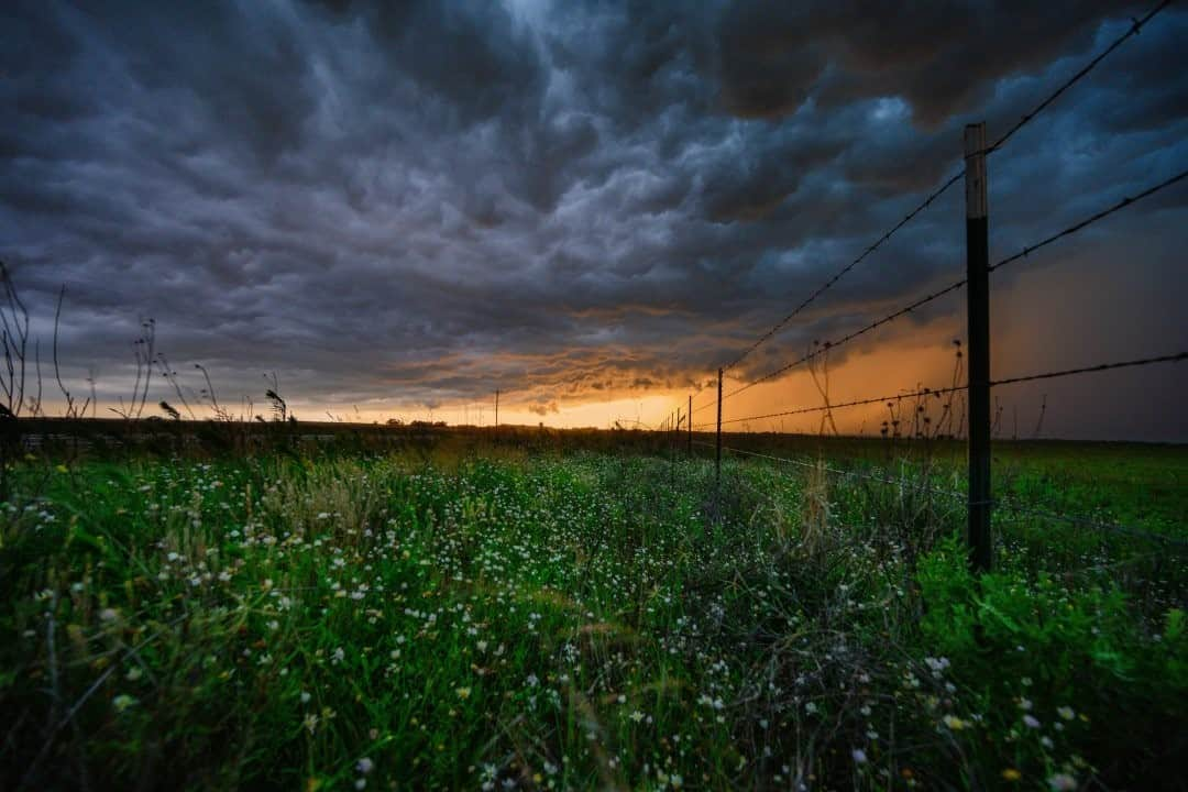 National Geographic Travelさんのインスタグラム写真 - (National Geographic TravelInstagram)「Photo by Keith Ladzinski @ladzinski / A dramatic supercell cloud formation looms over a quiet field of wildflowers in Oklahoma. These are the contrasting situations that make storm chasing so addicting. #stormchasing」11月28日 12時35分 - natgeotravel