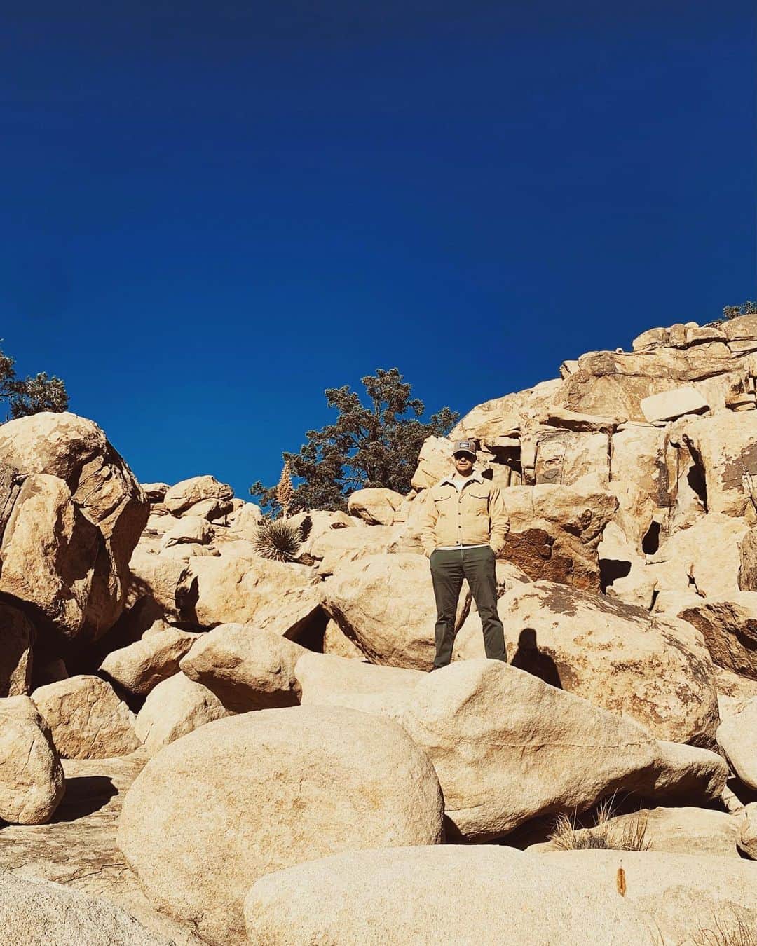 ブライス・ジョンソンのインスタグラム：「Desert Camo.」
