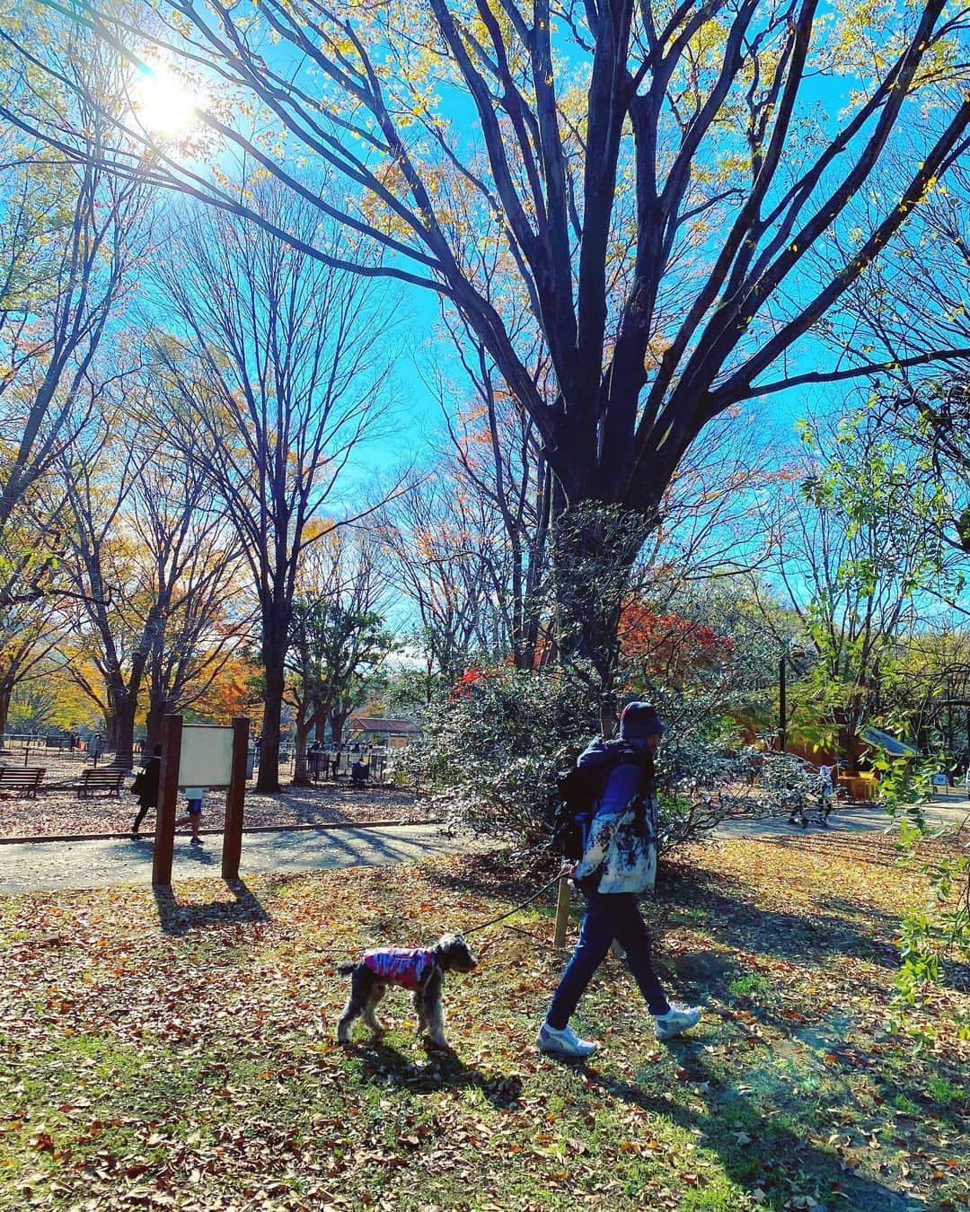 谷川じゅんじのインスタグラム