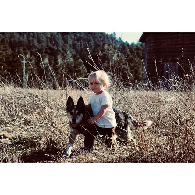 Dogs by Ginaのインスタグラム：「Thank you for being the best dog he could ever know. I would have never known you’d be the one. Oly, my sweet boy, you’re a good dog.」