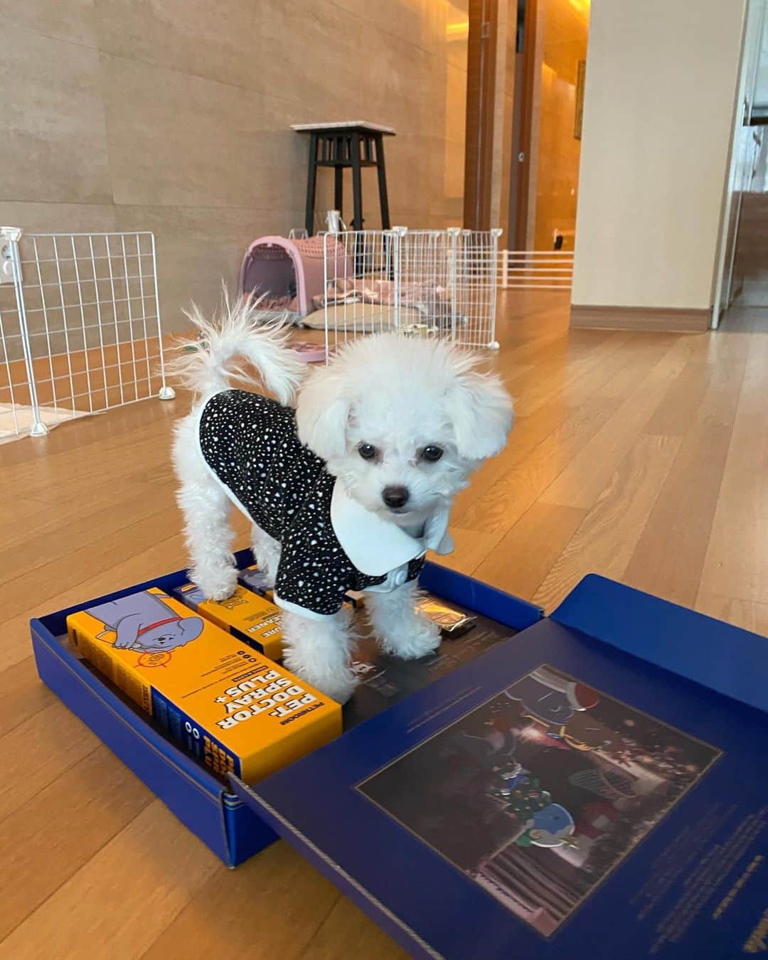 チャン・ヒジンのインスタグラム：「미리 크리스마스 선물~ 이모 삼촌 감사합니다🤗」