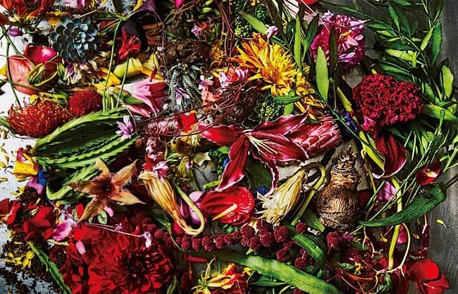 のインスタグラム：「Numéro TOKYO January / February 2021 No.143 「botanical sculpture」自由奔放に主張する色彩の秩序なき美学。 Artwork @azumamakoto, Photo @shiinokishunsuke ﻿ #東信 #今月のフラワー #azumamakoto #shiinokishunsuke #amkk #numerotokyo #numerotokyo143 #flowers @amkk_project」