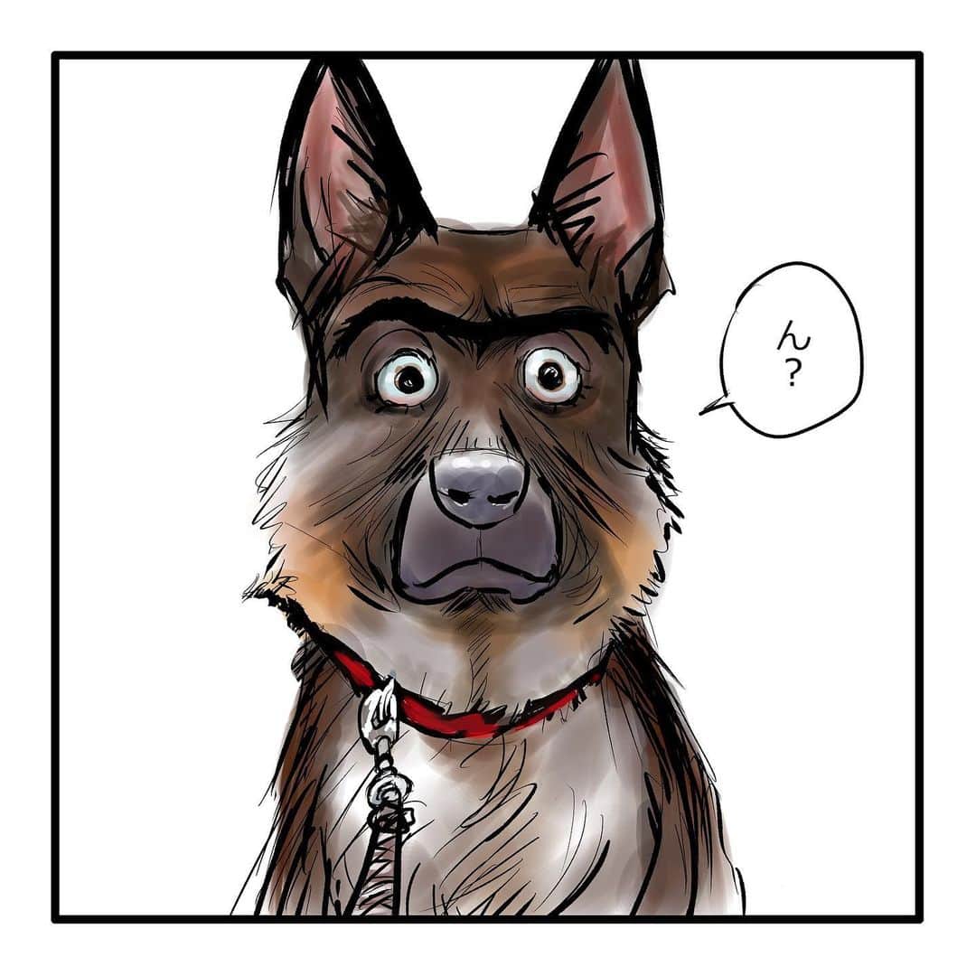 てらりんさんのインスタグラム写真 - (てらりんInstagram)「『ゴボウ』④  #漫画 #マンガ #まんが #インスタ漫画 #創作 #コミック #イラスト #犬 #シェパード #ゴボウ #manga #comic #illustration #art #drawing #dog #germanshepherd #alsatian #gobo」11月28日 13時13分 - terarin08