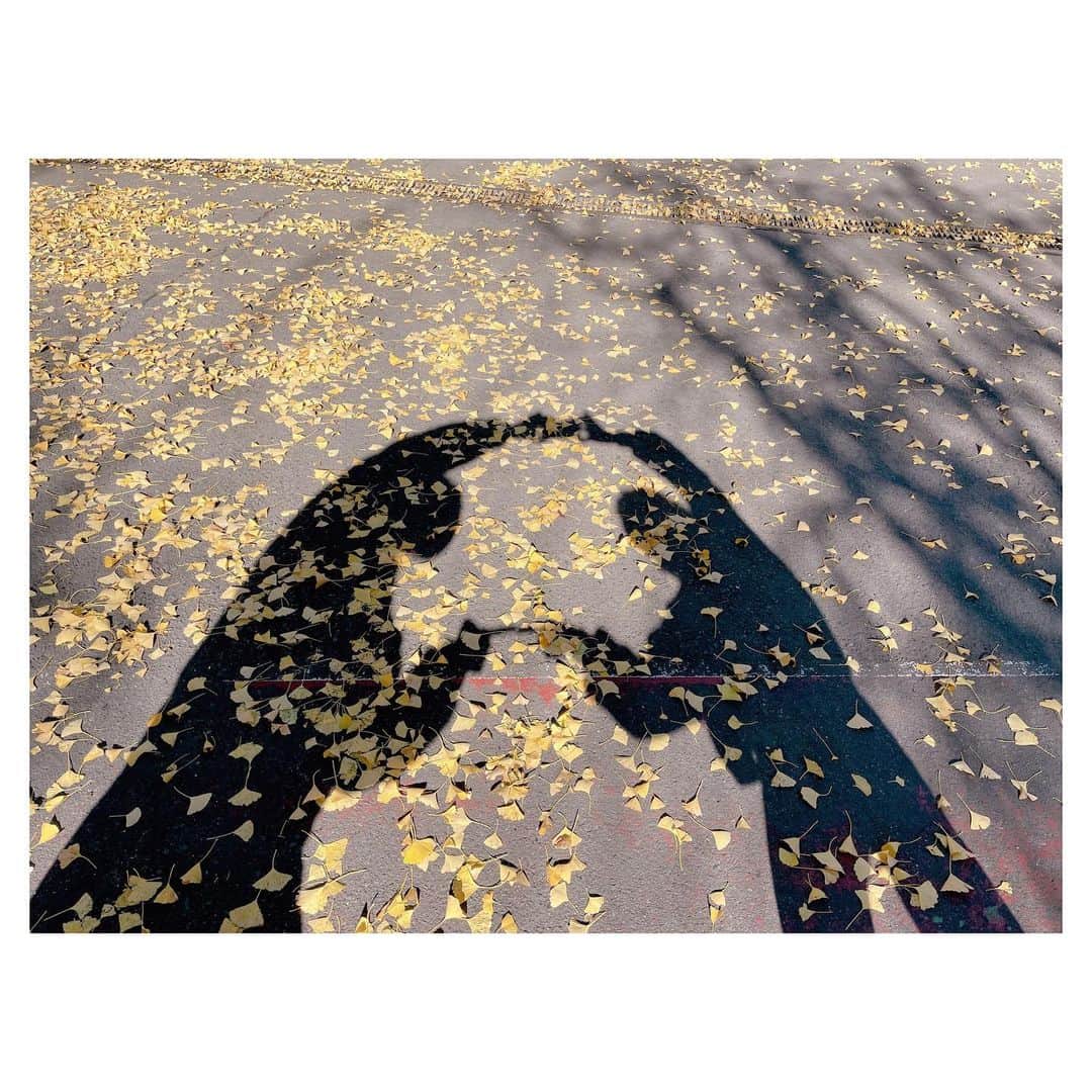 辻希美さんのインスタグラム写真 - (辻希美Instagram)「影遊び❤️ →swipeしてね✨  #影遊び #イチョウの葉 #映え #秋だね #❤️」11月28日 13時49分 - tsujinozomi_official