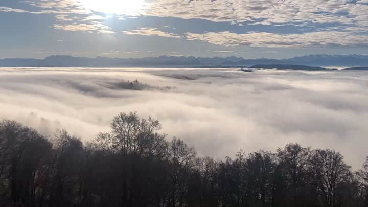 太田エイミーのインスタグラム：「The sea of clouds」
