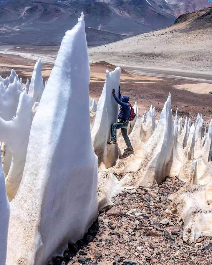 Discover Earthさんのインスタグラム写真 - (Discover EarthInstagram)「Did you know that what they call "penitentes" or "nieves penitentes" are snow deposits, that can be found at high altitudes above 4,000 metres where the air is dry, such as in the regions between Argentina and Chile ?   They take the shape of elongated, thin blades, closely spaced and pointed towards the general direction of the sun, of hardened snow or ice. They vary from a few centimetres to over 5 metres in length.   They form a mechanism called "sublimation", as the sun's rays transform snow directly into water vapour without melting it first.  Depressions are first produced by an initially smooth snow surface when some regions randomly sublimate faster than others.   In the depressions, the angled surfaces then concentrate sunlight and drive sublimation, leaving behind the higher points as forests of towering spikes.  #discoverchile🇨🇱 with @ernestoortiz.photography  @faszination_bergsteigen   @kristapsvx  @roxymtngirl  @cli5fnspire   . . . . .  #sanpedrodeatacama  #atacama  #atacamadesert  #travel  #desiertodeatacama  #desert  #desertodoatacama  #desierto  #travelphotography  #nature  #southamerica  #valledelaluna  #chile ​#instachile ​#chilegram ​#santiago  #sublimation」11月29日 1時00分 - discoverearth