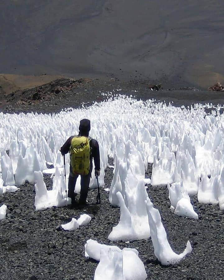 Discover Earthさんのインスタグラム写真 - (Discover EarthInstagram)「Did you know that what they call "penitentes" or "nieves penitentes" are snow deposits, that can be found at high altitudes above 4,000 metres where the air is dry, such as in the regions between Argentina and Chile ?   They take the shape of elongated, thin blades, closely spaced and pointed towards the general direction of the sun, of hardened snow or ice. They vary from a few centimetres to over 5 metres in length.   They form a mechanism called "sublimation", as the sun's rays transform snow directly into water vapour without melting it first.  Depressions are first produced by an initially smooth snow surface when some regions randomly sublimate faster than others.   In the depressions, the angled surfaces then concentrate sunlight and drive sublimation, leaving behind the higher points as forests of towering spikes.  #discoverchile🇨🇱 with @ernestoortiz.photography  @faszination_bergsteigen   @kristapsvx  @roxymtngirl  @cli5fnspire   . . . . .  #sanpedrodeatacama  #atacama  #atacamadesert  #travel  #desiertodeatacama  #desert  #desertodoatacama  #desierto  #travelphotography  #nature  #southamerica  #valledelaluna  #chile ​#instachile ​#chilegram ​#santiago  #sublimation」11月29日 1時00分 - discoverearth