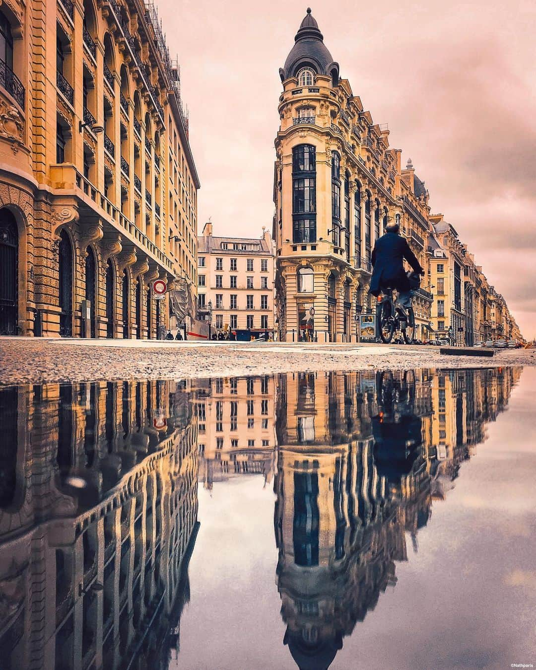 nathparisのインスタグラム：「FREEDOM 🕊 . Aujourd’hui nous pouvons nous promener plus loin et plus longtemps, prenez toujours soin de vous 💛Bon week-end ! . Today we can walk further and longer, always take care of yourself 💛 Have a nice weekend!」