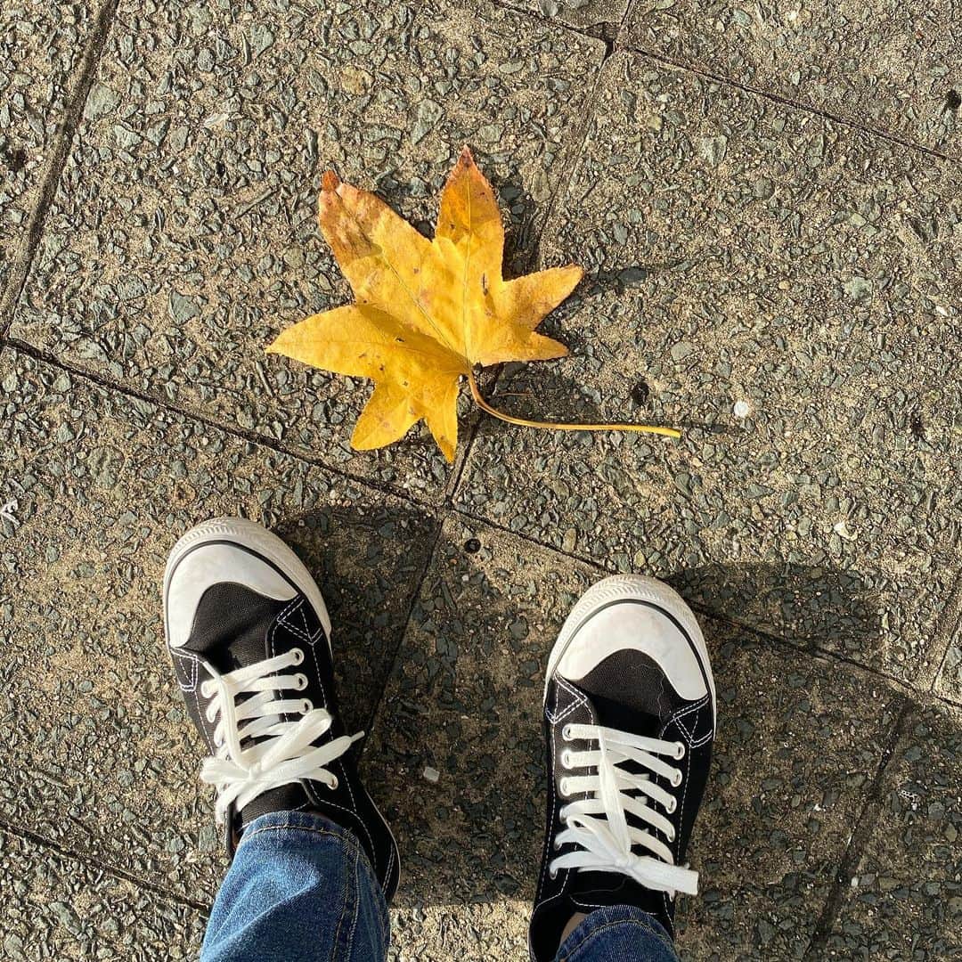今田美奈さんのインスタグラム写真 - (今田美奈Instagram)「秋がもうすぐ終わる🍁」11月28日 23時54分 - _minaimd.j_