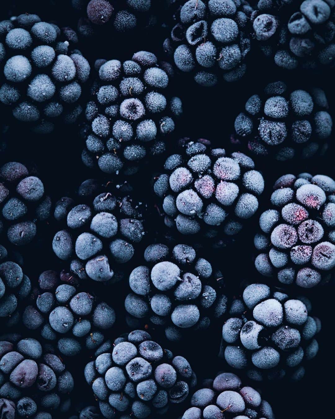 Linda Lomelinoのインスタグラム：「I wanted to share with you guys that I made a winter collection of iphone cases with @franceinseason! First out is one of my favorite images of frozen blackberries, which I have on my phone right now (swipe to see the case)🖤 The cases are made from 100% plant-based and degradable material (!) and they are only available for a limited time. This weekend only you get 10% off using the code HAPPY10. Link in my profile! 🖤」
