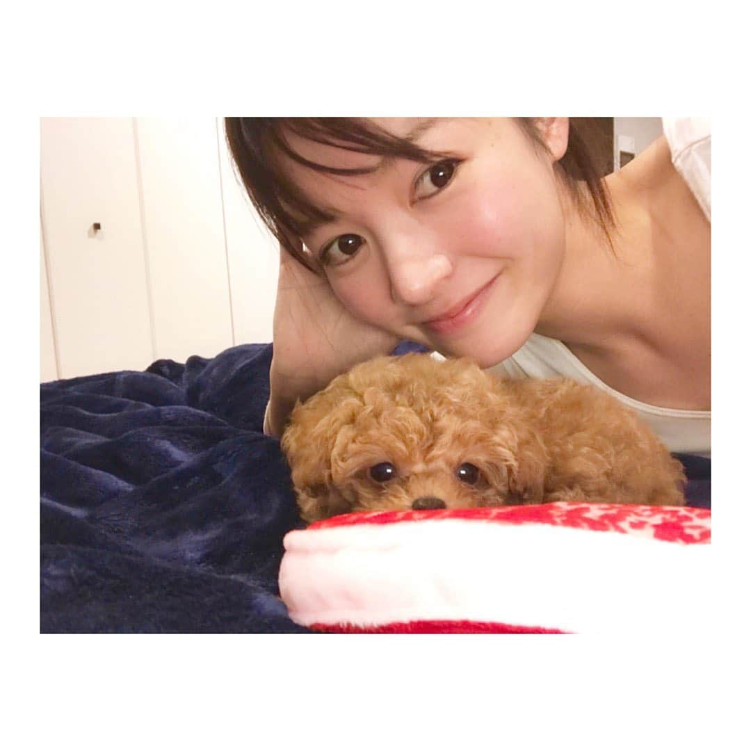 笹丘明里さんのインスタグラム写真 - (笹丘明里Instagram)「. 🎂2020.11.28🎂 愛する息子 ちゃぽが３才になりました🥰🐶💋 . DMでたくさんメッセージをいただき 本当にありがとうございました🥺💌 . 毎日毎日可愛くて愛おしいちゃぽ。 . あぁ、、もう３才かぁ、、早いなあ。 我が家に来てくれたときは700gも 無く、リモコンと同じくらいの 小ささだったよね。懐かしいよ。 (▶︎２枚目からベイビーちゃぽです👶) . そんなに駆け足じゃなく、もっと、 ゆっくり、ゆっっっっっくり、 成長してくれてもいいんだよ。 一分でも一秒でも、元気に楽しく 長生きしてね。愛してるよ☺️♥️ . 文を打ちながら涙が止まらないので、 必死でバルーンと写したい母ちゃん＆ 「もうええって😑」のちゃぽを 最後に置いておきます😌💕w . #愛犬 #ちゃぽ #誕生日 #3歳 #3才 #dogstagram #doglover #doglife #doglovers #dogsofinstagram #toypoodle #tinypoodle #babyboy #birthday #子犬 #タイニープードル #トイプードル #トイプードル男の子 #トイプードル男の子 #愛犬家 #dog #愛犬家と繋がりたい #puppy #baby #토이푸들#댕댕이#개#애견#笹丘明里 #いぬすたぐらむ #ふわもこ部」11月28日 23時55分 - akari_sasaoka