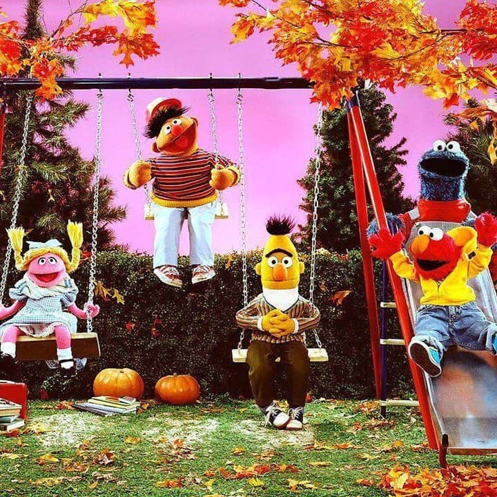 セサミストリートさんのインスタグラム写真 - (セサミストリートInstagram)「葉っぱの色がとっても綺麗だね！  #紅葉 #秋の楽しみ」11月29日 0時00分 - sesamestreetjapan